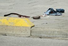 Ranjena osoba u pucnjavi na Mojmilu!