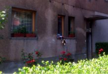 U Zenici eksplodirala plinska boca u stanu