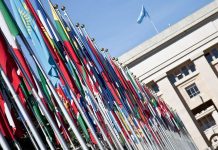 UN danas slavi rođendan!