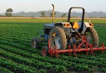 Poljoprivredom se bavi jedan do dva posto ruralnog stanovništva u BiH