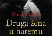 Recenzija knjige: Zoran Predin – “Druga žena u haremu”
