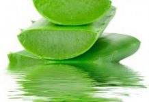 Aloe vera- čudesni lijek za brojne tegobe