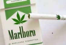 Phillip Morris na tržište izbacuje cigarete sa marihuanom