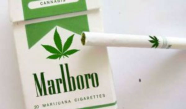 marihuana cigare