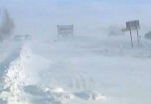 Spašeno oko stotinjak zametenih ljudi u Vojvodini