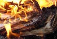 Posljedice požara i šteta pričinjena arhivskoj građi BiH