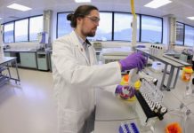 NAUKA: Hemijske tvari u morskom pužu efikasne u borbi protiv karcinoma