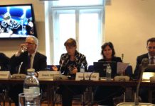 Ismeta Dervoz predsjedavala sjednicom Komiteta i Delegacije EU Agencije za fundamentalna prava u Beču