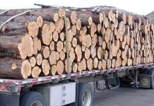 Izvoz drvne industrije BiH povećan za 11,7 posto