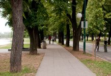 Na Vilsonovom šetalištu trim staza i režim biciklističkog saobraćaja