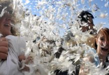 U Kragujevcu obilježen Međunarodni dan borbe jastucima