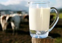 Zenička industrija mlijeka jedan od uspješnih projekata obnove koji je finansirala norveška vlada