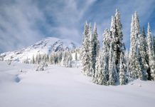 Na Bjelašnici i Vlašiću 80 cm snijega