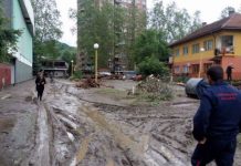 Više od 600 volontera sutra čisti Maglaj, Zavidoviće i Žepče