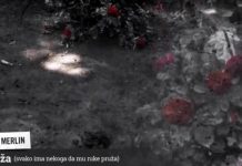 Dino Merlin poklonio “Ružu” žrtvama poplava