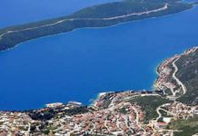 U Neumskom zalivu sedam vrsta bezopasnih ajkula