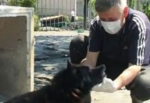 VIDEO – Tužni rastanak čovjeka i njegovog psa ljubimca