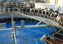 „Milkosu“ prijeti gašenje ako ne bude sluha kod bankara!