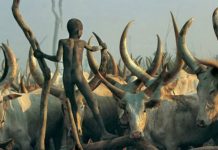 Zavirite u nevjerovatan svijet plemena Dinka iz Južnog Sudana (FOTOGALERIJA)