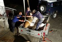 BULJAKOV POTOK: U rekordnom roku uklonili bombu ogromne razorne moći