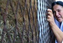 Majke Srebrenice odale počast svojim najmilijim ubijenim u Kravici