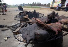 WHO: U zapadnoj Africi 887 umrlo od ebole