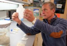 REVOLUCIONARNO: Obnavljanje mišićnog tkiva osnovnim ćelijama životinja