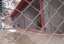 Tužilaštvo KS istražuje rad azila u Prači