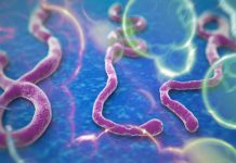 U SAD dijagnostikovan prvi slučaj ebole