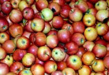 I AKO STE ZNALI, VAŽAN PODSJETNIK: Nevjerojatno šta jedna jabuka dnevno čini organizmu!