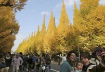 Jeste li za jesenju šetnju kroz Tokio?