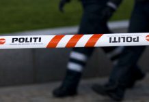 DANSKA: Srbijanski par iskorištavao Rumune kao robove