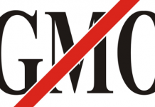 Dvije trećine zemalja EU protiv uzgoja genetski modificiranih organizama (GMO)