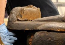 SAD: Otvoren kovčeg egipatske mumije star 2,5 hiljade godina