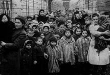 U Auschwitzu radilo 9.500 članova osoblja