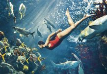 Rihanna stavila život na kocku i za potrebe snimanja zaplivala sa ajkulama