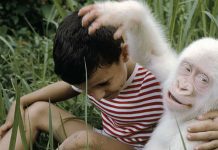 Albino životinje koje ne poznaju diskriminaciju, već samo divljenje (FOTOGALERIJA)