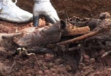 Ekshumacija grobnice u Rogatici: Pronađena ljudska lobanja i nekompletni posmrtni ostaci