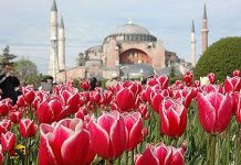 Istanbulski Festival tupliana počinje u aprilu