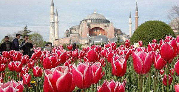Istanbulski Festival tupliana