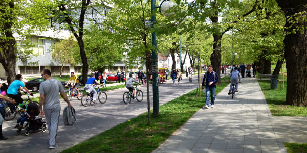 Vilsonovo 5