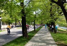 VILSONOVO ŠETALIŠTE: Džumhur, Teletović i Tuka odmjeravaju snage sa građanima