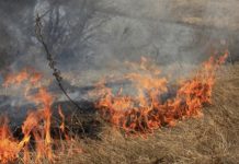 Neophodan oprez pri paljenju korova