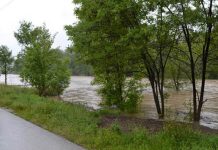 Vodostaj Bosne porastao za jedan metar