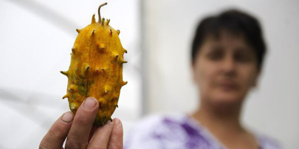 kiwano