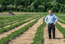 KADIRIĆ: Voće, pčele i ljekovito bilje su velika šansa za mnoge nezaposlene u BiH