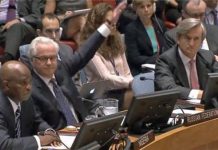 Russia vetoes UN genocide resolution on Srebrenica