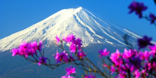 fuji