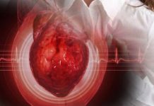 Američki naučnici od matične ćelije proizveli srčano tkivo