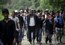 Oko 7.000 izbjeglica iz Mađarske preko Austrije stiglo u Njemačku